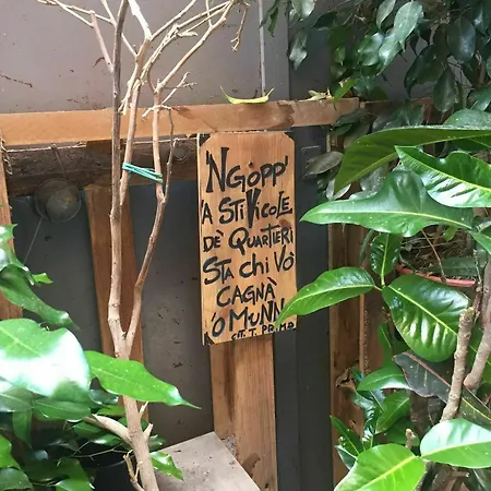 Vicoli Di Napoli